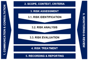 Blue and white process diagram outlining the principles and guidelines for risk management